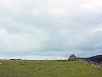 DSC 3126263's