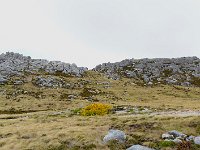 FalklandIsland／MalvinasIsland 福克兰群岛（马岛）100