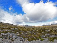 FalklandIsland／MalvinasIsland 福克兰群岛（马岛）101