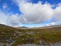 FalklandIsland／MalvinasIsland 福克兰群岛（马岛）102