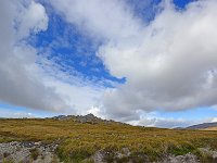 FalklandIsland／MalvinasIsland 福克兰群岛（马岛）103