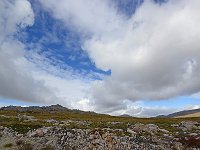FalklandIsland／MalvinasIsland 福克兰群岛（马岛）104