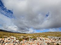 FalklandIsland／MalvinasIsland 福克兰群岛（马岛）106