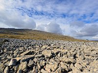 FalklandIsland／MalvinasIsland 福克兰群岛（马岛）107