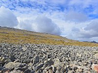 FalklandIsland／MalvinasIsland 福克兰群岛（马岛）108