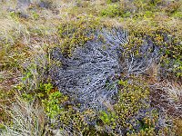 FalklandIsland／MalvinasIsland 福克兰群岛（马岛）111