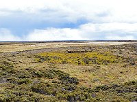 FalklandIsland／MalvinasIsland 福克兰群岛（马岛）114