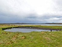 FalklandIsland／MalvinasIsland 福克兰群岛（马岛）14