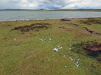 FalklandIsland／MalvinasIsland 福克兰群岛（马岛）15