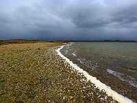 FalklandIsland／MalvinasIsland 福克兰群岛（马岛）17