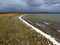 FalklandIsland／MalvinasIsland 福克兰群岛（马岛）19