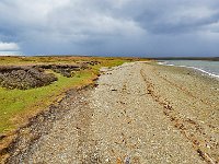 FalklandIsland／MalvinasIsland 福克兰群岛（马岛）20