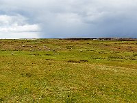 FalklandIsland／MalvinasIsland 福克兰群岛（马岛）22