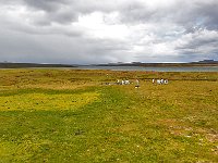 FalklandIsland／MalvinasIsland 福克兰群岛（马岛）23