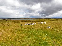 FalklandIsland／MalvinasIsland 福克兰群岛（马岛）25