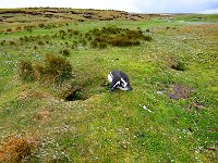 FalklandIsland／MalvinasIsland 福克兰群岛（马岛）27