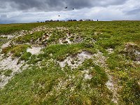 FalklandIsland／MalvinasIsland 福克兰群岛（马岛）29