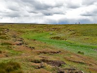 FalklandIsland／MalvinasIsland 福克兰群岛（马岛）3