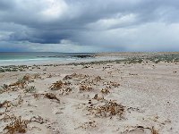 FalklandIsland／MalvinasIsland 福克兰群岛（马岛）33