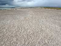 FalklandIsland／MalvinasIsland 福克兰群岛（马岛）34