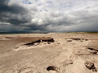 FalklandIsland／MalvinasIsland 福克兰群岛（马岛）35