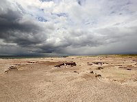 FalklandIsland／MalvinasIsland 福克兰群岛（马岛）36