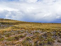 FalklandIsland／MalvinasIsland 福克兰群岛（马岛）39