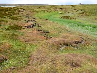 FalklandIsland／MalvinasIsland 福克兰群岛（马岛）4