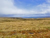 FalklandIsland／MalvinasIsland 福克兰群岛（马岛）40
