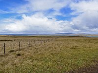 FalklandIsland／MalvinasIsland 福克兰群岛（马岛）42