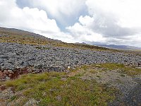 FalklandIsland／MalvinasIsland 福克兰群岛（马岛）43