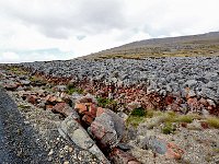 FalklandIsland／MalvinasIsland 福克兰群岛（马岛）44