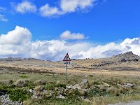 FalklandIsland／MalvinasIsland 福克兰群岛（马岛）45