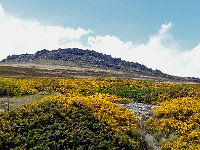 FalklandIsland／MalvinasIsland 福克兰群岛（马岛）48