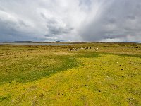 FalklandIsland／MalvinasIsland 福克兰群岛（马岛）5