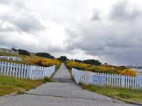 FalklandIsland／MalvinasIsland 福克兰群岛（马岛）55