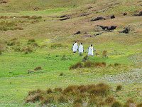FalklandIsland／MalvinasIsland 福克兰群岛（马岛）63