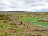 FalklandIsland／MalvinasIsland 福克兰群岛（马岛）64