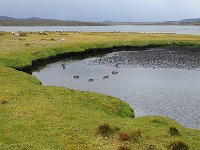 FalklandIsland／MalvinasIsland 福克兰群岛（马岛）66