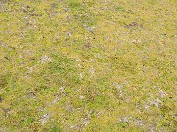 FalklandIsland／MalvinasIsland 福克兰群岛（马岛）67