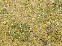 FalklandIsland／MalvinasIsland 福克兰群岛（马岛）68