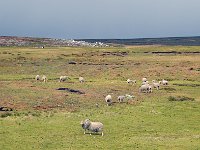 FalklandIsland／MalvinasIsland 福克兰群岛（马岛）69
