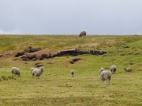 FalklandIsland／MalvinasIsland 福克兰群岛（马岛）71
