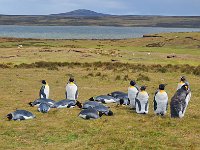 FalklandIsland／MalvinasIsland 福克兰群岛（马岛）72