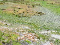 FalklandIsland／MalvinasIsland 福克兰群岛（马岛）73