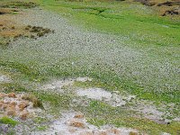 FalklandIsland／MalvinasIsland 福克兰群岛（马岛）74