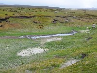 FalklandIsland／MalvinasIsland 福克兰群岛（马岛）75