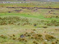 FalklandIsland／MalvinasIsland 福克兰群岛（马岛）76