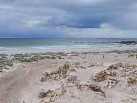 FalklandIsland／MalvinasIsland 福克兰群岛（马岛）79