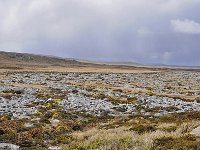 FalklandIsland／MalvinasIsland 福克兰群岛（马岛）84